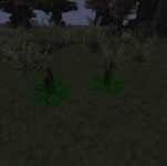 2025-07-14_23.20.20.png